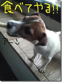 今日カズ090120　8