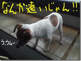 今日カズ090120　9