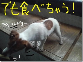 今日カズ090120　10