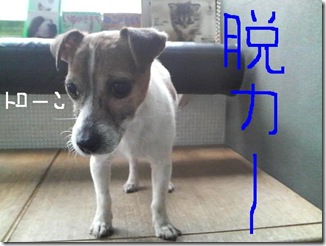 今日カズ090120　11