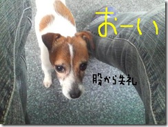 今日カズ　090121　1