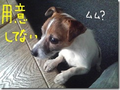 今日カズ090121　2