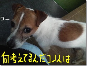 今日カズ090121　3