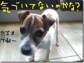 今日カズ090121　4