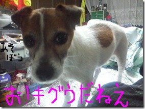 今日カズ090123　3