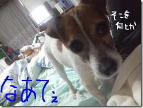 今日カズ090123　4