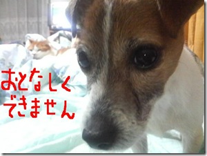 今日カズ090123　5