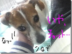 今日カズ090123　6