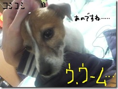 今日カズ090123　7