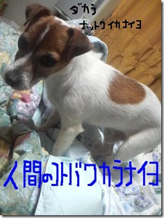 今日カズ090123　10