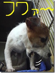 今日カズ090124　1