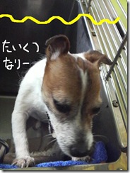今日カズ090124　2