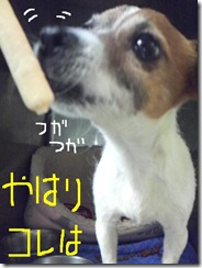 今日カズ090124　4