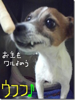今日カズ090124　5