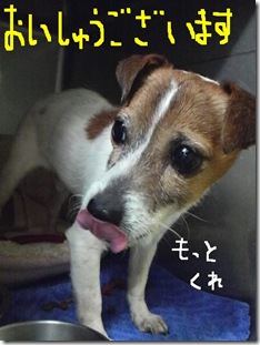 今日カズ090124　10