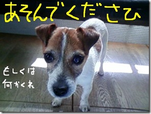 今日カズ090125　2