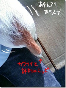 今日カズ090125　3