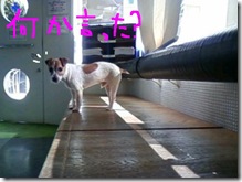 今日カズ090125　4