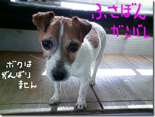 今日カズ090125　8
