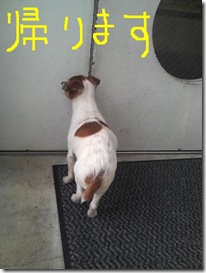 今日カズ090127　3