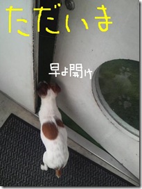 今日カズ090127　4