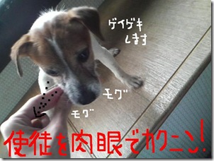 今日カズ090127　7
