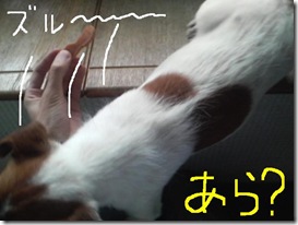 今日カズ090127　8