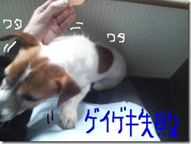 今日カズ090127　10