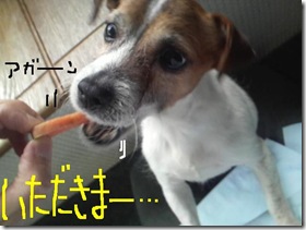 今日カズ090127　12