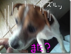 今日カズ090127　13