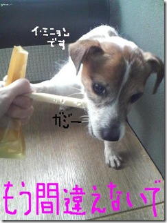 今日カズ090127　15