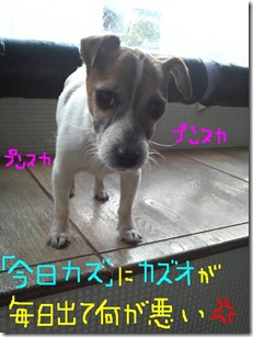 今日カズ090128　1