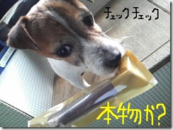 今日カズ090128　3