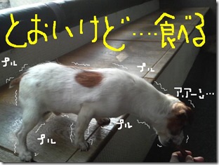 今日カズ090128　7
