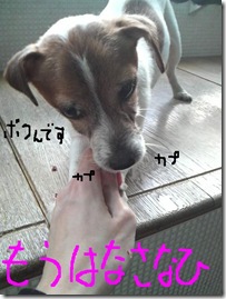 今日カズ090128　8