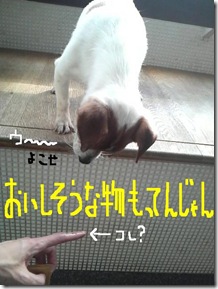 今日カズ090128　9