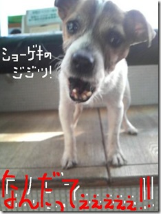 今日カズ090128　10