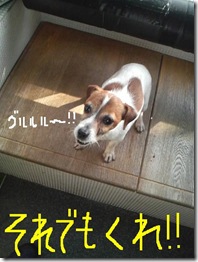 今日カズ090128　11