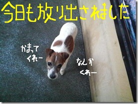 今日カズ090130　1