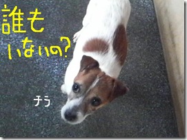 今日カズ090130　2