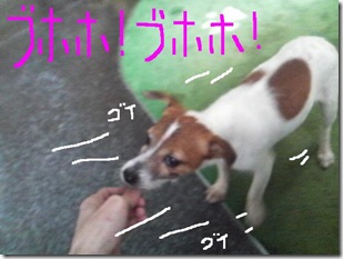 今日カズ090130　6
