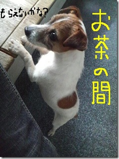 今日カズ090130　9