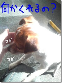今日カズ090201　2