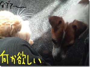 今日カズ090201　4