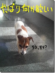 今日カズ090201　9