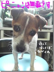今日カズ090202　1
