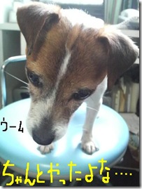 今日カズ090202　3