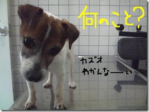 今日カズ090202　6