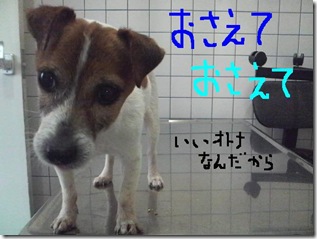 今日カズ090202　7