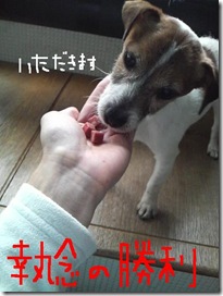 今日カズ090203　8
